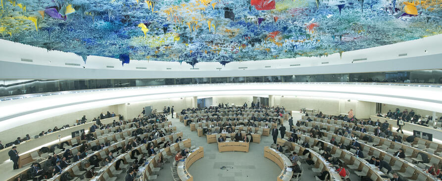 FNs menneskerettighetsråd