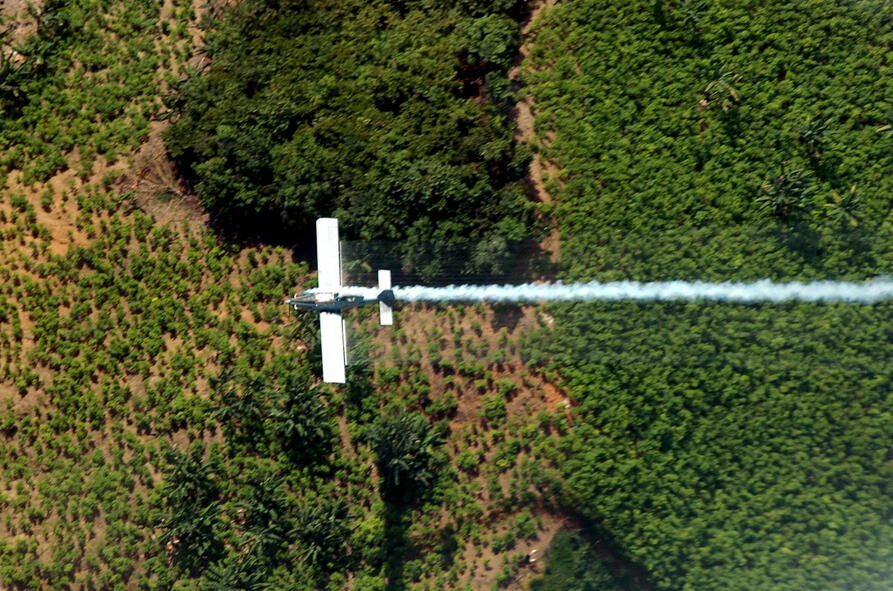 Luftspraying med flyfosat i Catatumbo. (LUIS ROBAYO/AFP via Getty Images)