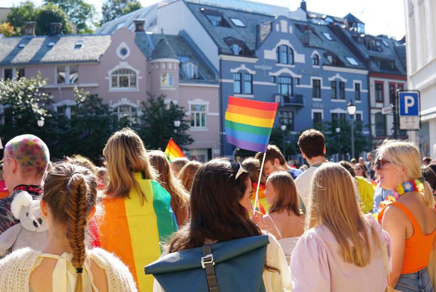 Gruppe mennesker som g&aring;r i pride-tog med regnbueflagg